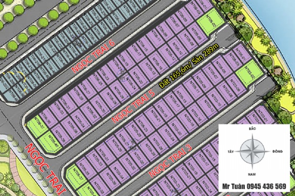 SONG LẬP NGỌC TRAI 5-08 (ĐÔNG NAM, 165,6m)