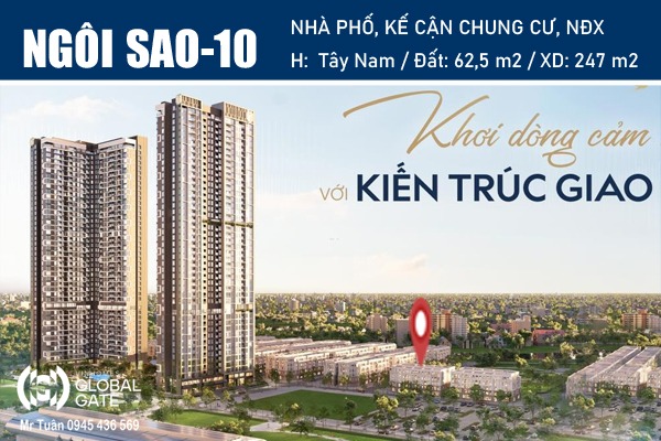 NS-10 & 11 CẶP LIỀN KỀ  125 m2 / MẶT TIỀN 10m ĐƯỜNG NGÔI SAO