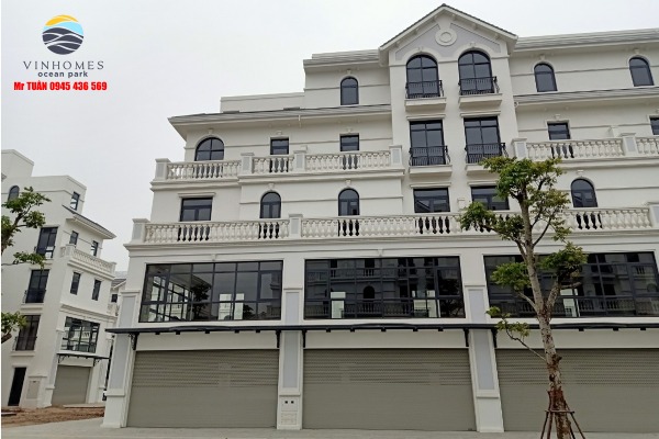 SAO BIỂN 19A-SP06 SHOP TMDV