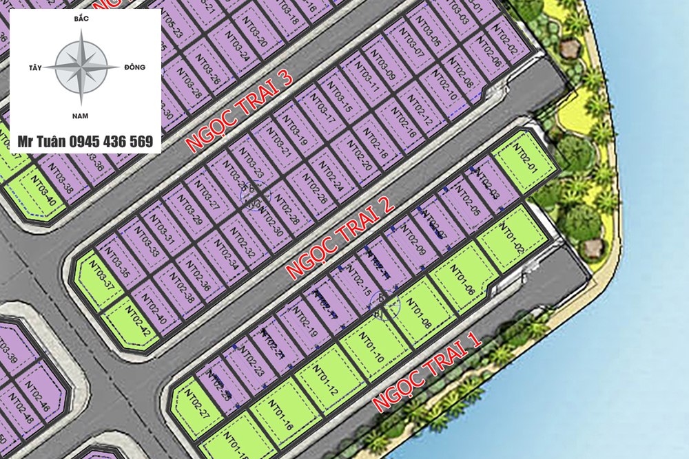 BIỆT THỰ NGỌC TRAI 2-11 (Song lập)